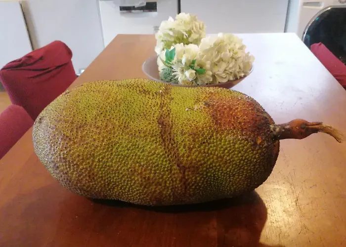 Semesterbostad Caranavilla